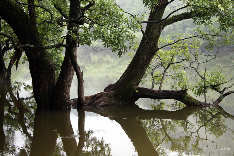 download.php?grpid=Pur8&fldid=_album&dat