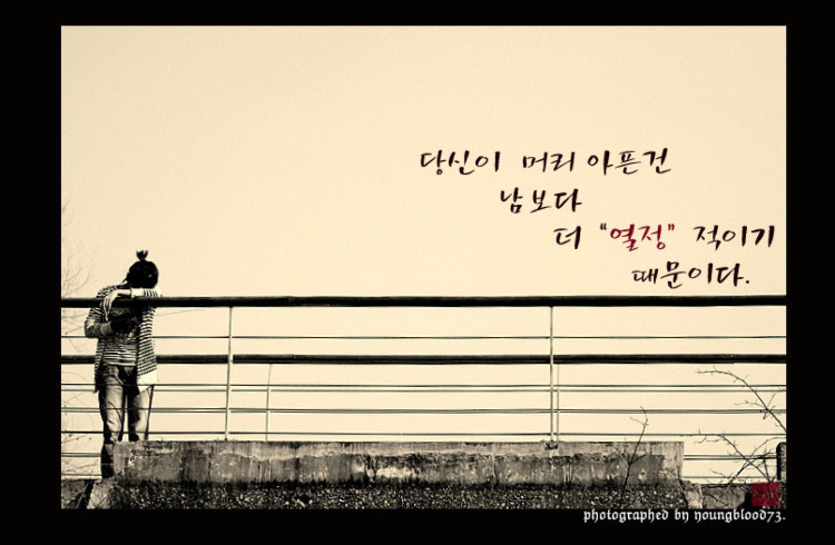 야피 이미지
