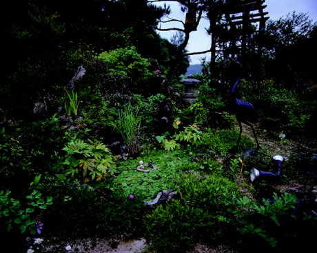 플로체 이미지